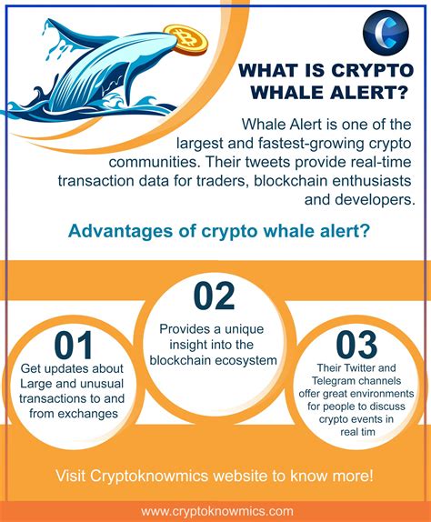 What is Crypto Whale Alert? | Blockchain, Ecosystems, Insight