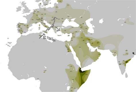 Haplogroup T