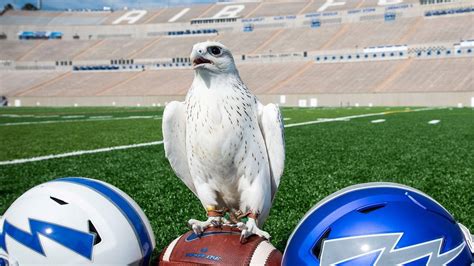 Air Force Academy's new falcon mascot to fly for first time during ...