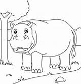 Hippo Coloring Page For Kids 5073766 Vector Art At Vecteezy sketch template