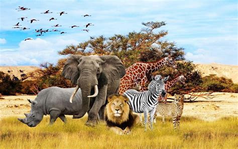 Download Safari Animals African Wildlife Picture | Wallpapers.com