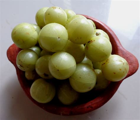 Health benefits of Indian Gooseberry