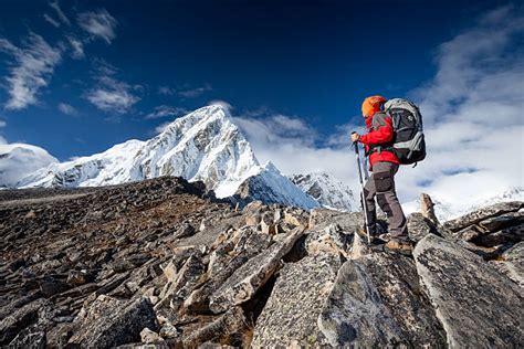 Hiking Himalayas Stock Photos, Pictures & Royalty-Free Images - iStock