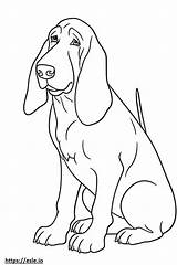Basset Hound Cute coloring Page sketch template