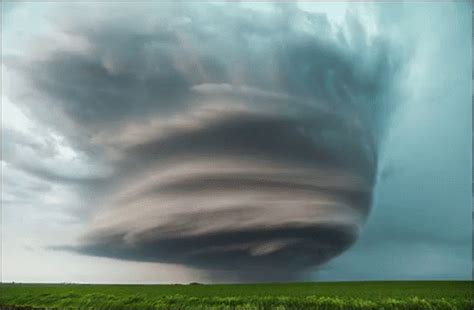 Animated Gif Tornado GIFs | Tenor