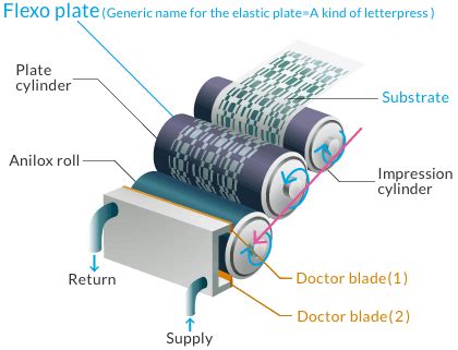 Flexo Printing:The Definitive Guide (2022) - www.yanxiyan.com