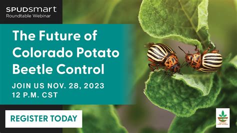 The Future of Colorado Potato Beetle Control