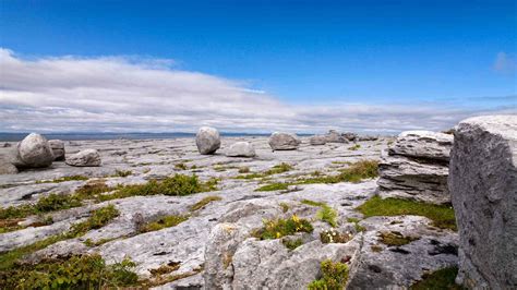 The Burren National Park | Things to Do | Claregalway Hotel