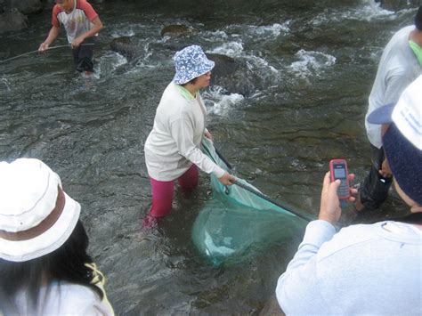 Environmental Monitor | Filipino researchers conduct Cagayan de Oro ...