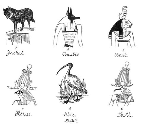 egyptian animal gods | Cartoon drawings of animals, Cartoon drawings of people, Egyptian gods