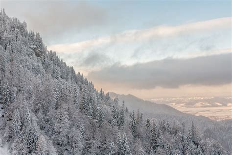 Winter landscape with dusk approaching - free stock photo - Imagecarrier