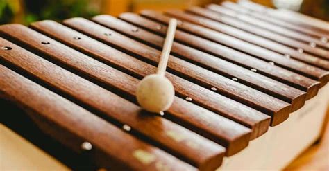 Xylophone Vs Glockenspiel Vs Marimba Vs Vibraphone Vs Xylorimba Vs ...