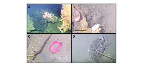 Examples of litter observed in the mosaicked areas. (A) Big fishing net... | Download Scientific ...