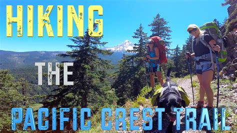 Hiking the Pacific Crest Trail - For three days and 32 miles, Bryan ...