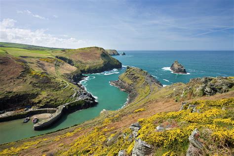 Boscastle Harbour From Penally Hill by Adam Burton / Robertharding