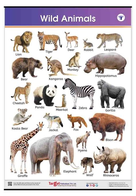 Top 146 Wild Animals Chart With Names | Porn Sex Picture