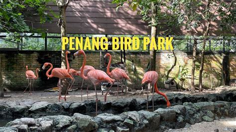 Harga Mahal Tapi Berbaloi ? Ini ke Taman Burung Terbesar di Malaysia ...