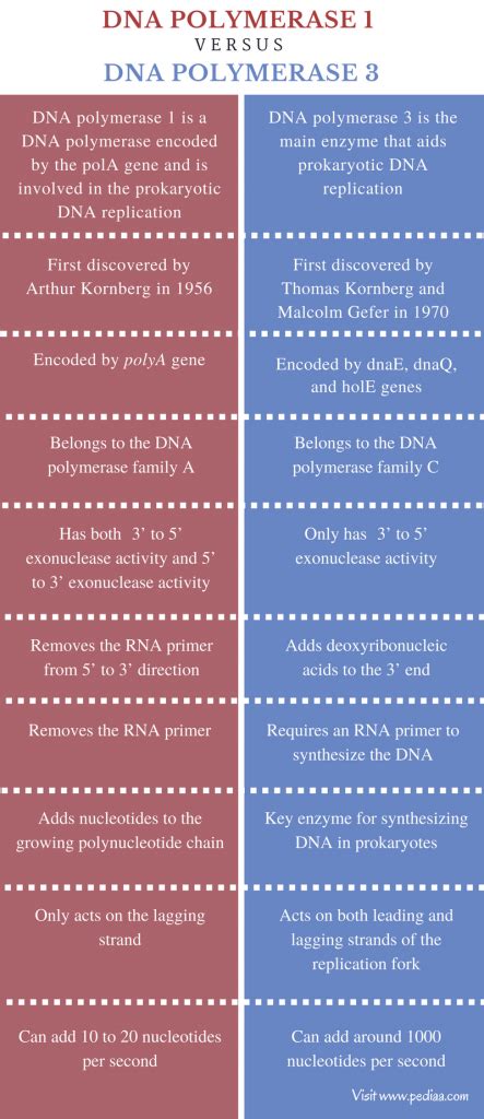 Difference Between DNA Polymerase 1 and 3 | Definition, Structure, Function, Comparison