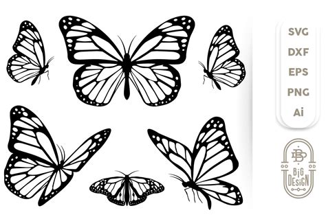 Butterfly SVG Bundle Digital Download Instant Monarch Butterfly SVG Files for Cricut Tools ...