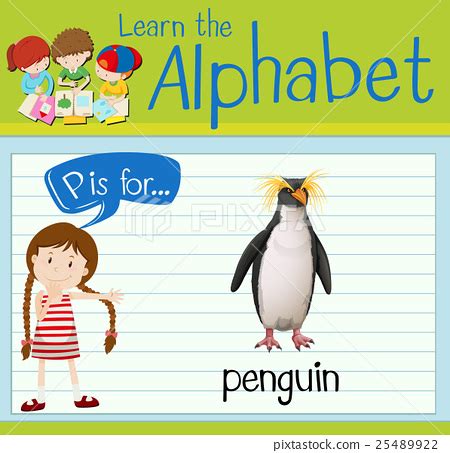 Flashcard letter P is for penguin - Stock Illustration [25489922] - PIXTA