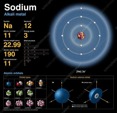 Sodium, atomic structure - Stock Image C018/3692 - Science Photo Library