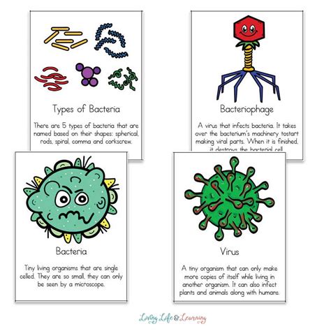 Fighting Germs Printable Cards: Fun Learning for Kids