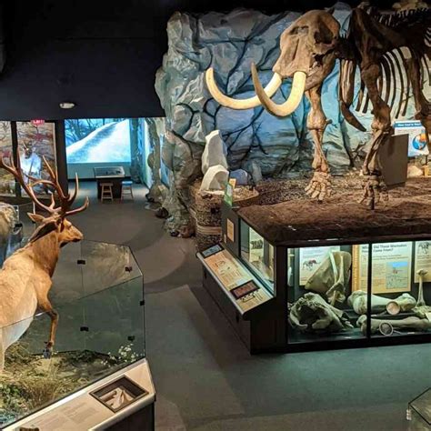 Rochester Museum and Science Center | Day Trips Around Rochester, NY