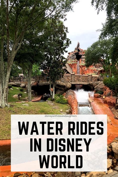 Water Rides at Disney World Ranked By How Wet You Get