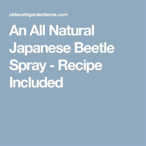 An All Natural Japanese Beetle Spray - Recipe Included! | Japanese ...