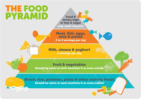 All You Need to Know About Nutrient Density : A Complete Guide