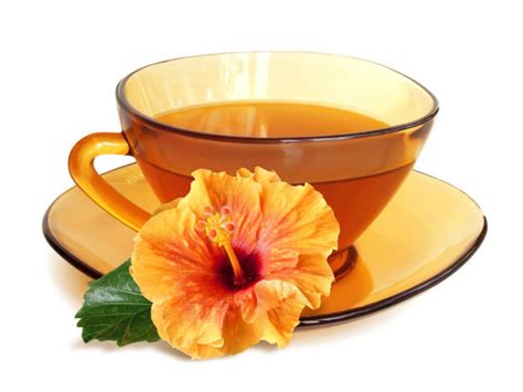 70+ Orange And Yellow Hibiscus Flower Cluster Stock Photos, Pictures ...