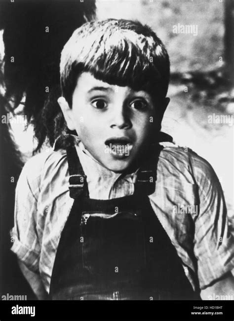 THE LITTLE RASCALS/OUR GANG COMEDIES, Robert Blake (aka: Mickey Gubitosi), in DON'T LIE, 1942 ...