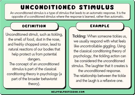 11 Unconditioned Stimulus Examples (2024)