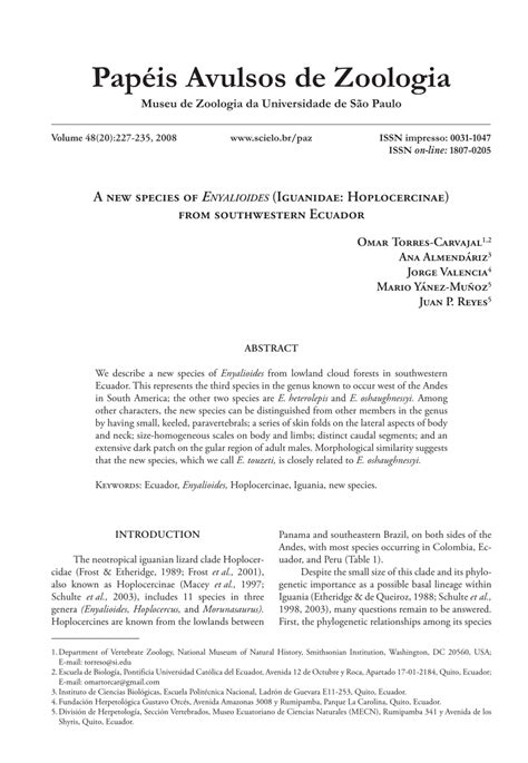 (PDF) A new species of Enyalioides (Iguanidae: Hoplocercinae) from southwestern Ecuador