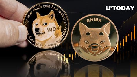 Shiba Inu (SHIB) Soars 13% Against Dogecoin (DOGE) and That May Not Be ...