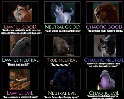 The BG3 Pet Alignment Chart : r/BaldursGate3