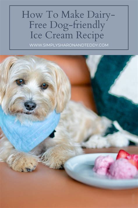 The Easiest Homemade Dog-Friendly Ice Cream Recipe - Simply Sharon and Teddy