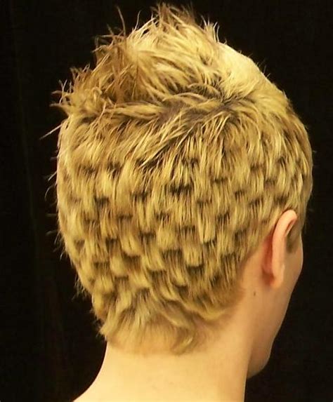 Celebrity Online Today: Most Craziest Hairstyles Pictures In The World