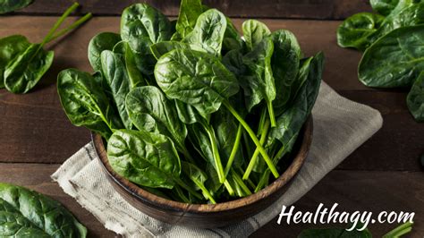 Arugula Vs Spinach, What is the Difference? (Plus Nutrition) - Healthagy