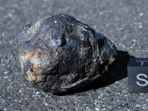 Meteorite Gallery, Photos, Information, Hunting, Research, Preservation