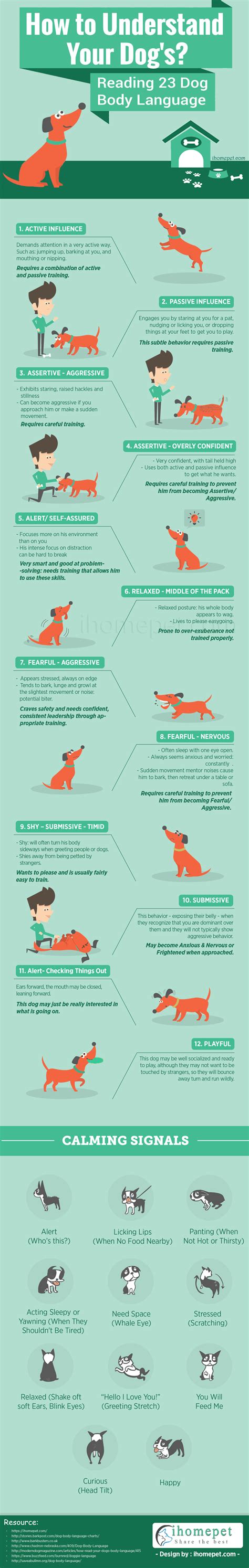 Understand Your Dog – Read 23 Dog Body Language Cues [Infographic] | Bit Rebels