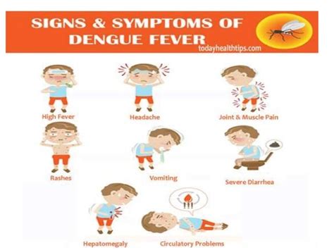 Dengue fever/ Dengue hemorrhagic fever/ Dengue shock syndromme semina…