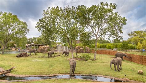 Elephant Habitat Receives Landscape Merit Award | GLMV