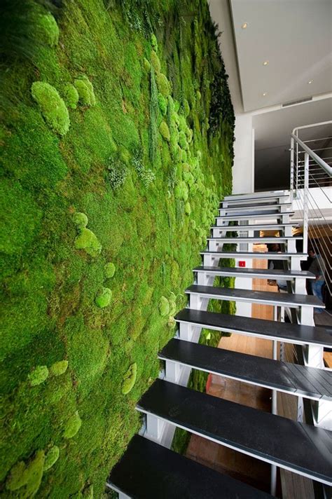 Moss Walls: The Interior Design Trend That Turns Your Home Into A ...