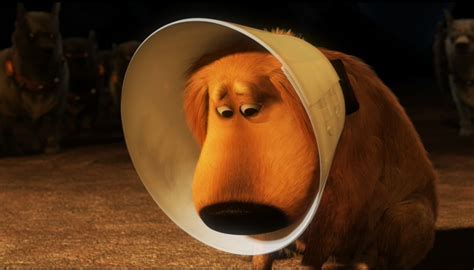 Doug from Up - Cone of Shame Blank Template - Imgflip