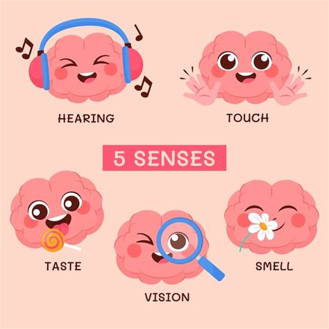 Free Vector | Hand drawn 5 senses illustration