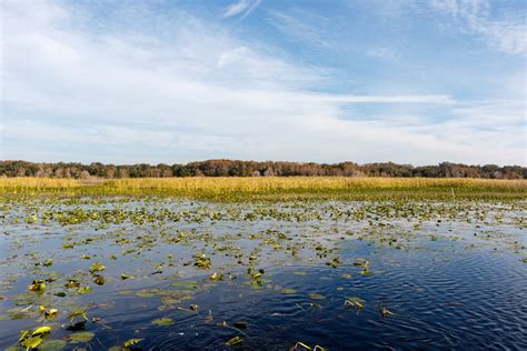 Best Florida Lake Toho Fishing Guide | Guided Fishing Trips