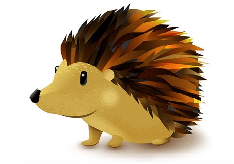 Hedgehog Forest on Behance