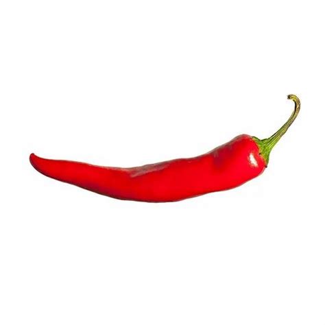 Organic Chilli at best price in Pune by Kitchen Garden | ID: 15855194197