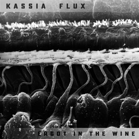 Ergot in the Wine | Kassia Flux